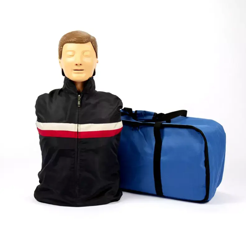 Cpr Training Model Manikin Cpr Model Manikin