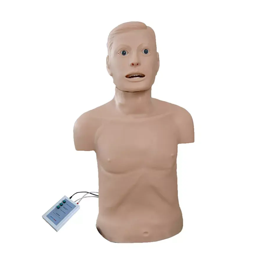 Intubation Training Manikin for General Doctor Adult CPR