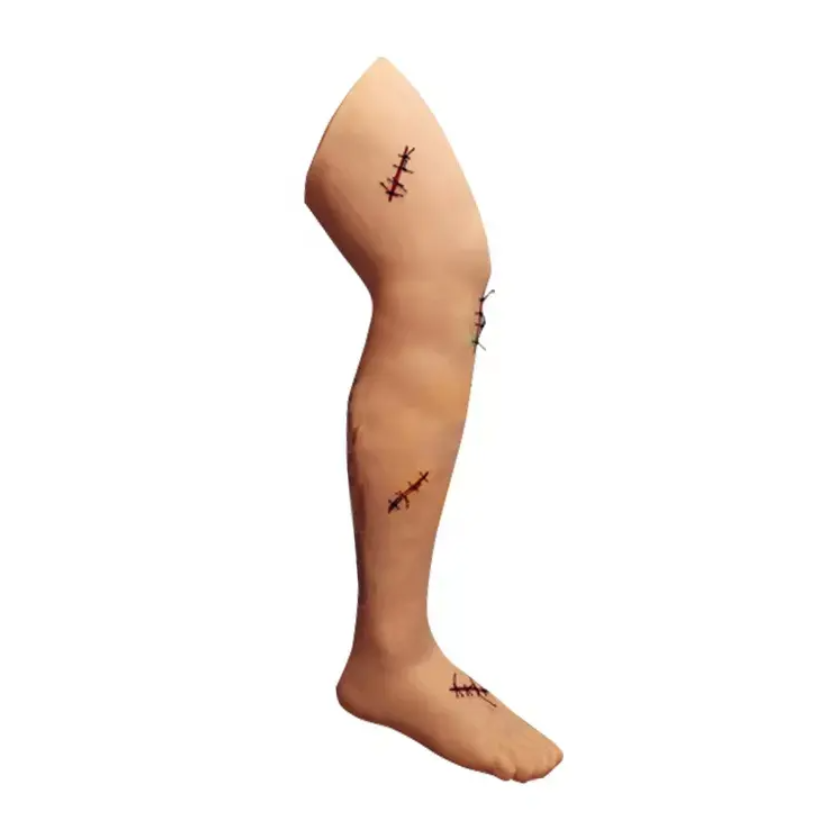 Medical Training Leg Surgical Suture Model