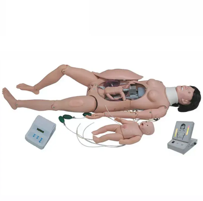 Multi-functional Medical Mannequin Display Bust Manikin